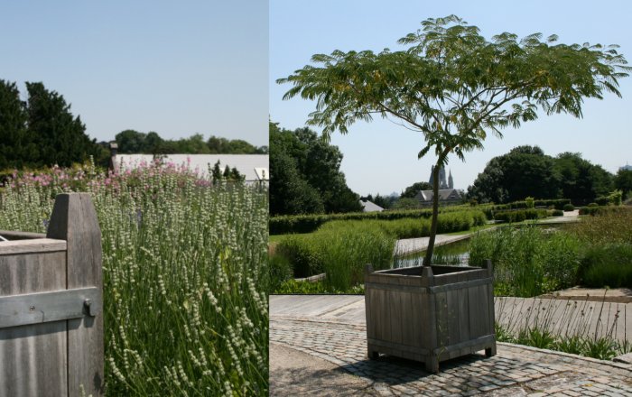 beauregard bac à plantes