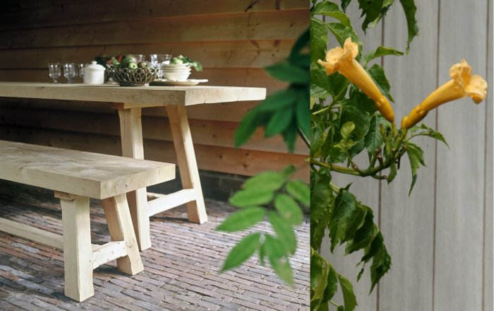 country banc en bois
