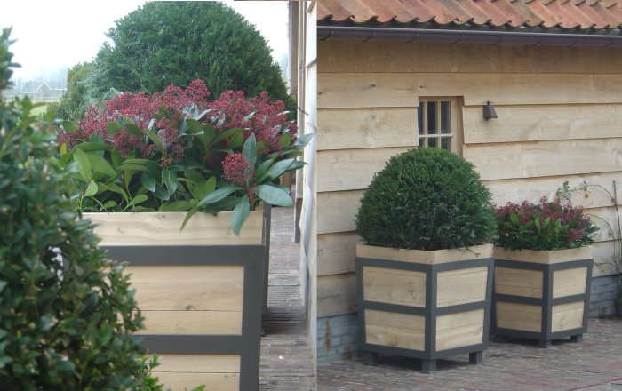 kotera bac à plantes