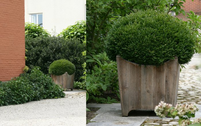 ledoux bac à plantes