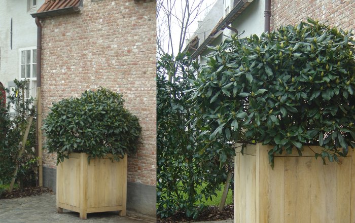 neumeister houten plantenbak