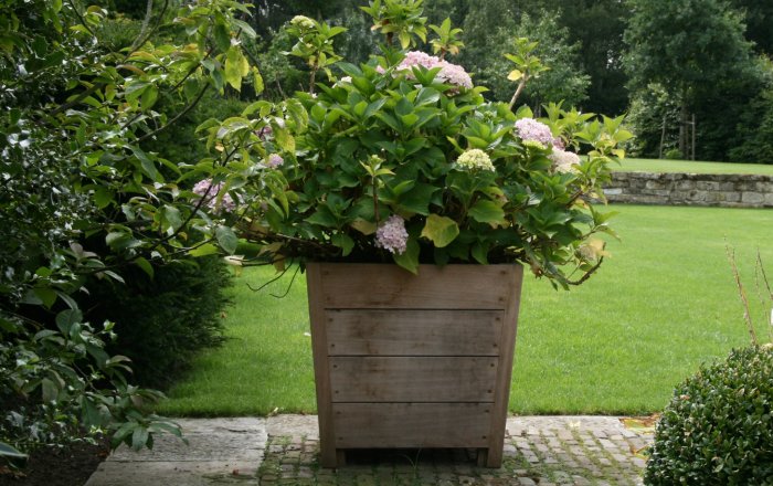 ortelius n°1 flower box