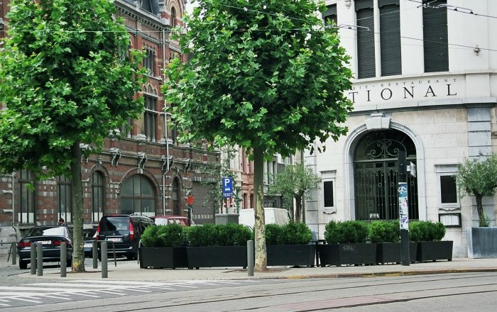 ortelius n°1 flower box