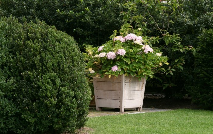 ortelius n°1 flower box