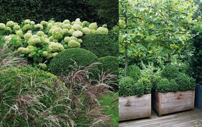 ortelius straight bac à plantes