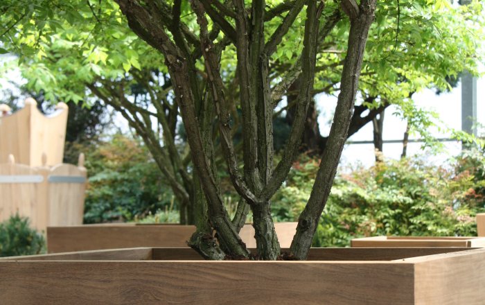 vasari houten plantenbak